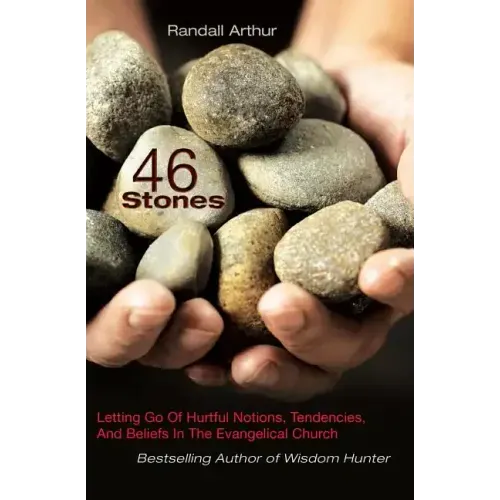46 Stones: Letting Go Of Hurtful Notions, Tendencies, And Beliefs In The Evangelical Church