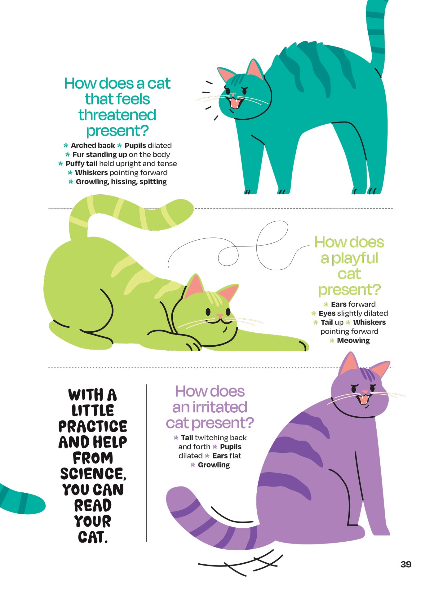 Inside Your Cat’s Mind - What They Really Think: Crack The Code Of Cat Emotions, Secret Mind-Body Language, How To Care For Your Cat, Art Of The Bath, Therapies For Cats & Can Cats & Dogs Be Friends?