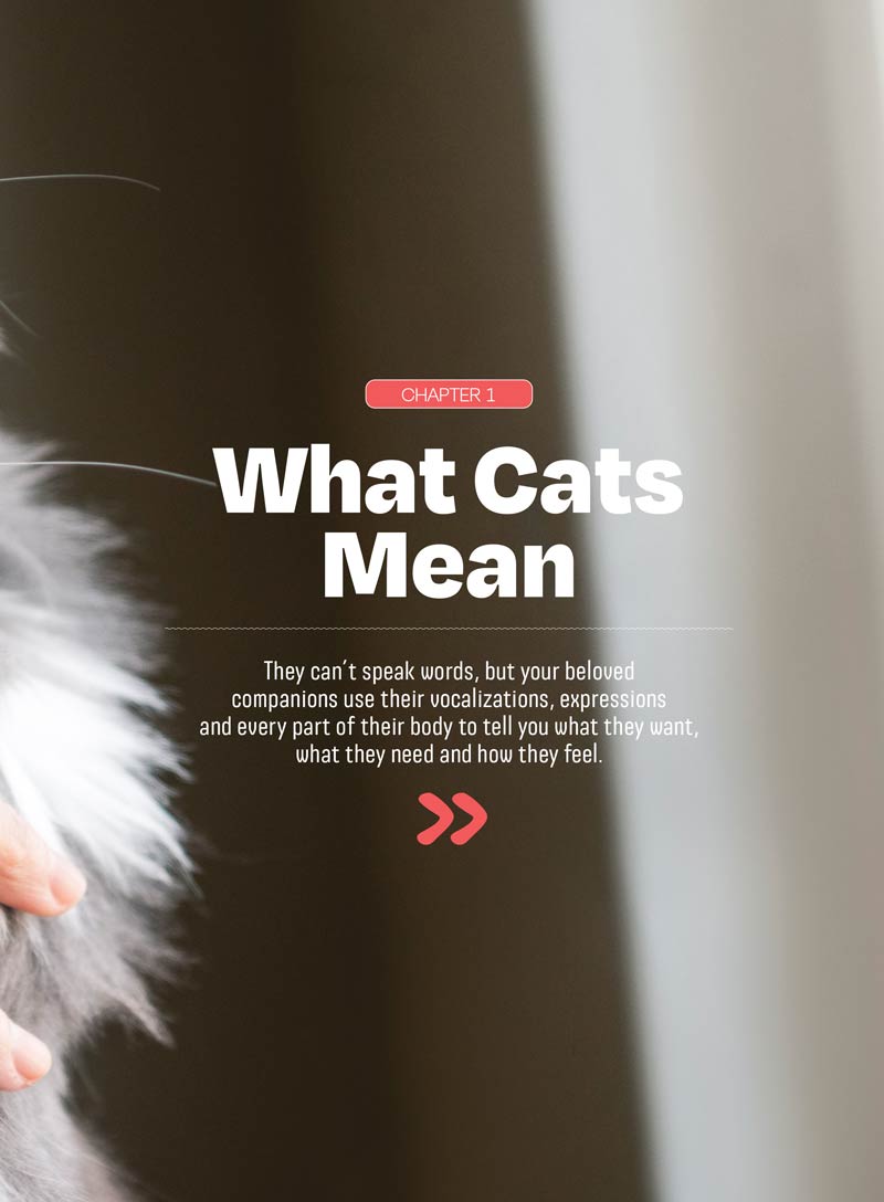 Inside Your Cat’s Mind - The Secret Language Of Cats: What They Really Mean, Decode Feline Behavior, Whisker & Tail Language, Slow Blink Secrets, Build A Deeper Bond With Your Beloved Cat & More!
