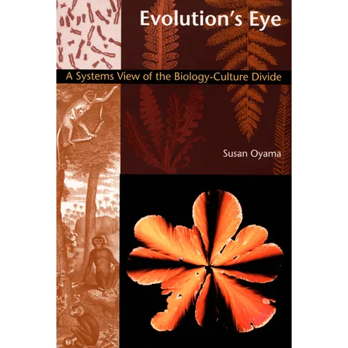 Evolution's Eye: A Systems View of the Biology-Culture Divide
