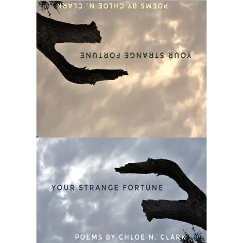 Your Strange Fortune
