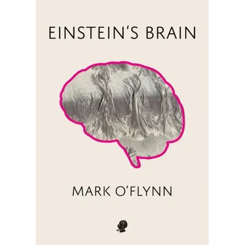 Einstein's Brain