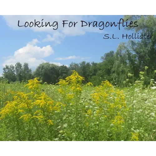 Looking For Dragonflies