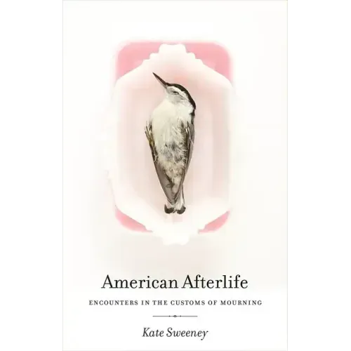 American Afterlife: Encounters in the Customs of Mourning