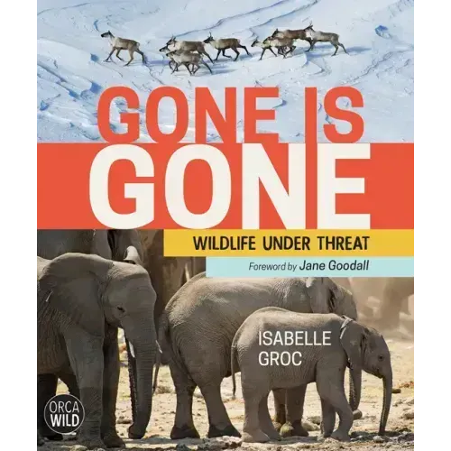 Gone Is Gone: Wildlife Under Threat