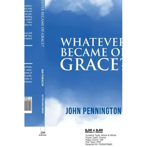Whatever Became of Grace?: Stories of Hope for Preaching and Teaching in a Graceless World