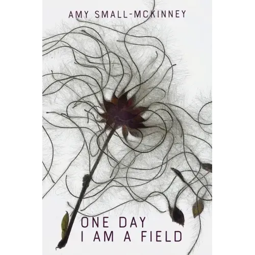 One Day I Am a Field