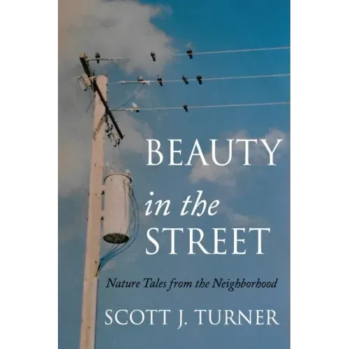 Beauty in the Street: Nature Tales from the Neighborhood
