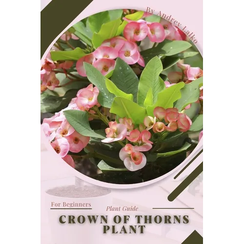 Crown of Thorns Plant: Plant Guide