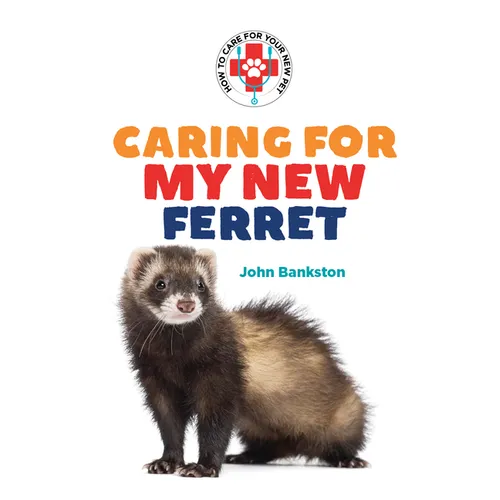 Caring for My New Ferret