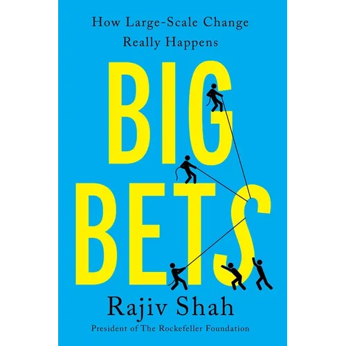 Big Bets: How Large-Scale Change Really Happens
