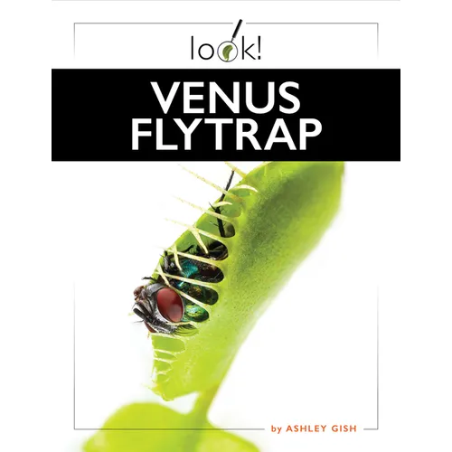 Venus Flytrap