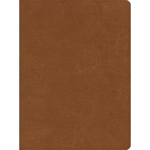 CSB He Reads Truth Bible, Saddle Leathertouch, Indexed
