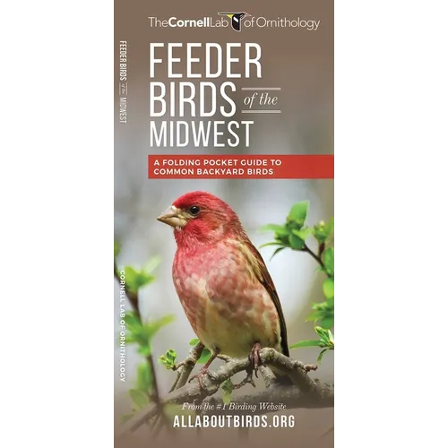 Feeder Birds of the Midwest: A Folding Pocket Guide to Common Backyard Birds
