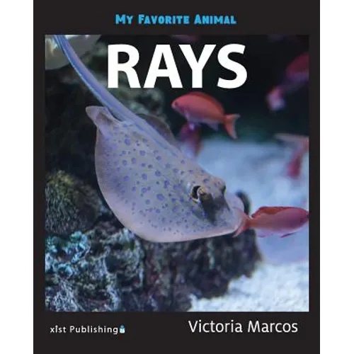 My Favorite Animal: Rays