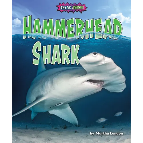 Hammerhead Shark