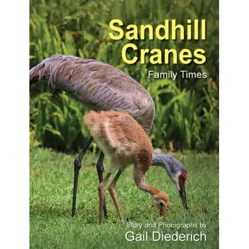 Sandhill Cranes, Family Times