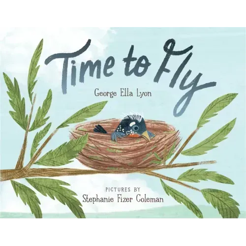 Time to Fly