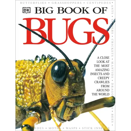 Big Book of Bugs