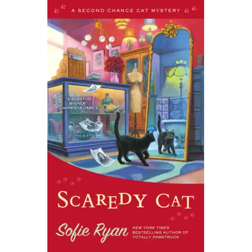 Scaredy Cat