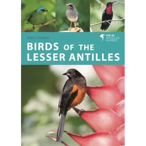Birds of the Lesser Antilles