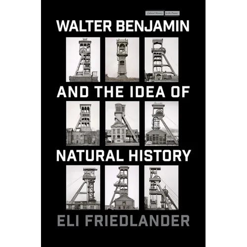 Walter Benjamin and the Idea of Natural History