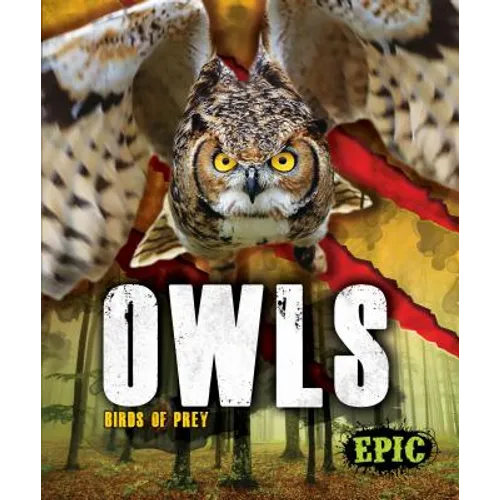 Owls