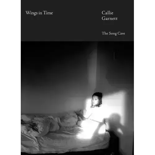 Wings in Time