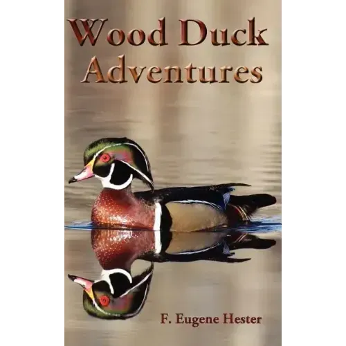 Wood Duck Adventures