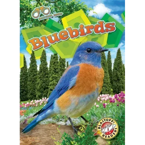 Bluebirds