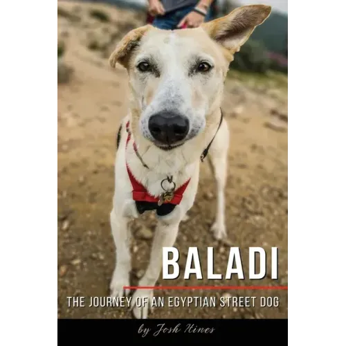 Baladi: The Journey of an Egyptian Street Dog