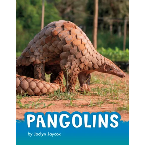 Pangolins