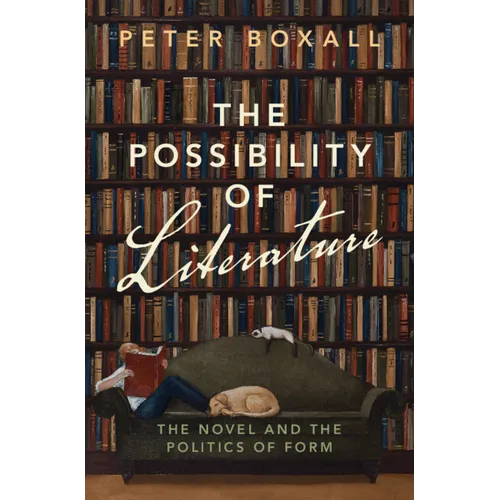 The Possibility of Literature: The Novel and the Politics of Form