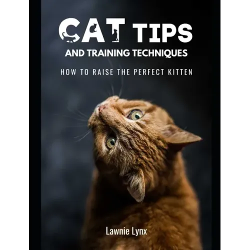 Cat Tips and Training Techniques: How To Raise The Perfect Kitten