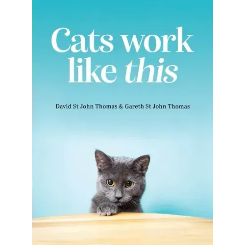 Cats Work Like This