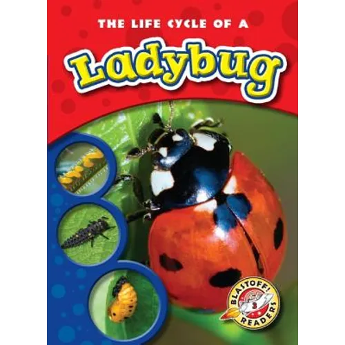 The Life Cycle of a Ladybug