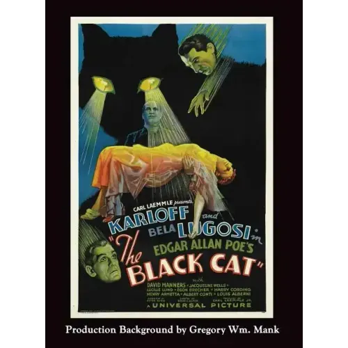 The Black Cat (hardback)