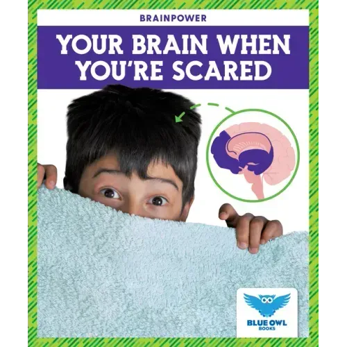 Your Brain When You're Scared