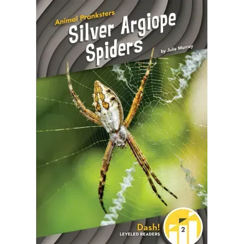 Silver Argiope Spiders