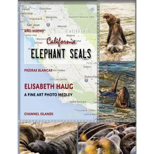 California Elephant Seals