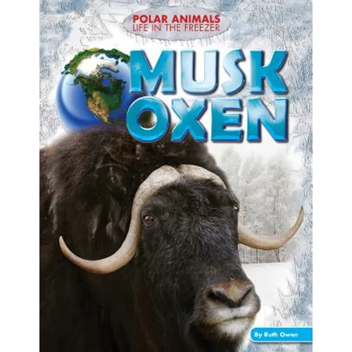 Musk Oxen