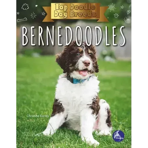 Bernedoodles