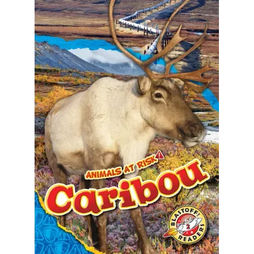 Caribou