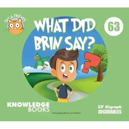 What Did Brin Say?: Book 63