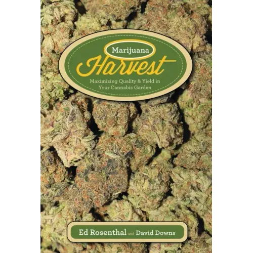 Marijuana Harvest: How to Maximize Quality and Yield in Your Cannabis Garden