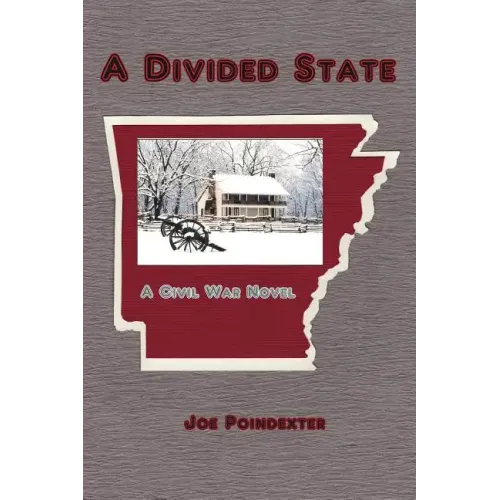 A Divided State: A Civil War Novel