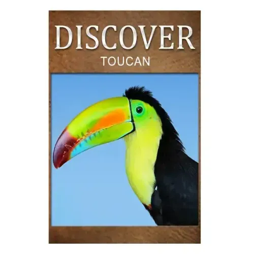 Toucan - Discover: Early reader's wildlife photography book