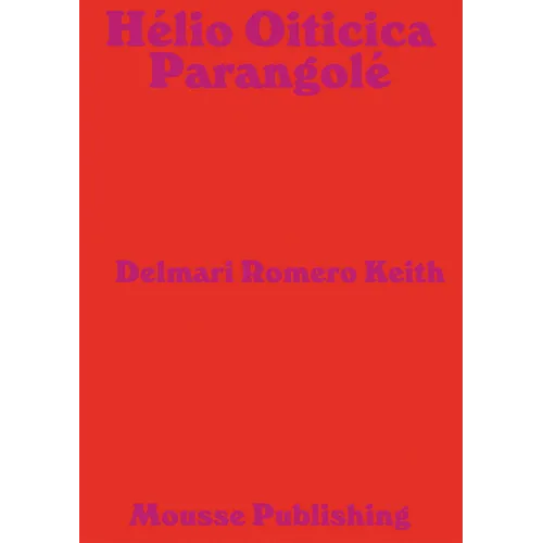Hélio Oiticica: Parangolé