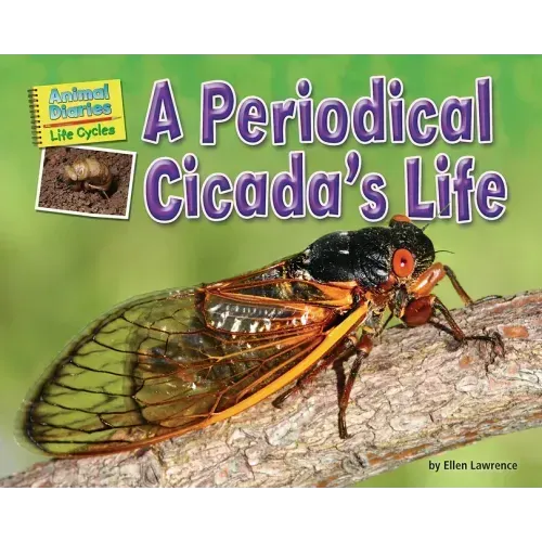A Periodical Cicada's Life