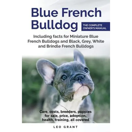 Blue French Bulldog: Care, costs, price, adoption, health, training and how to find breeders and puppies for sale.